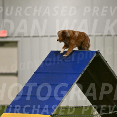 Basil-Cindy-Fink-02134