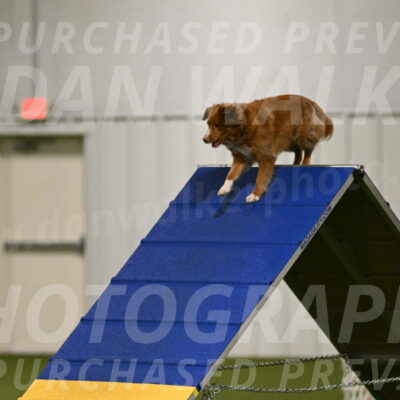 Basil-Cindy-Fink-02135