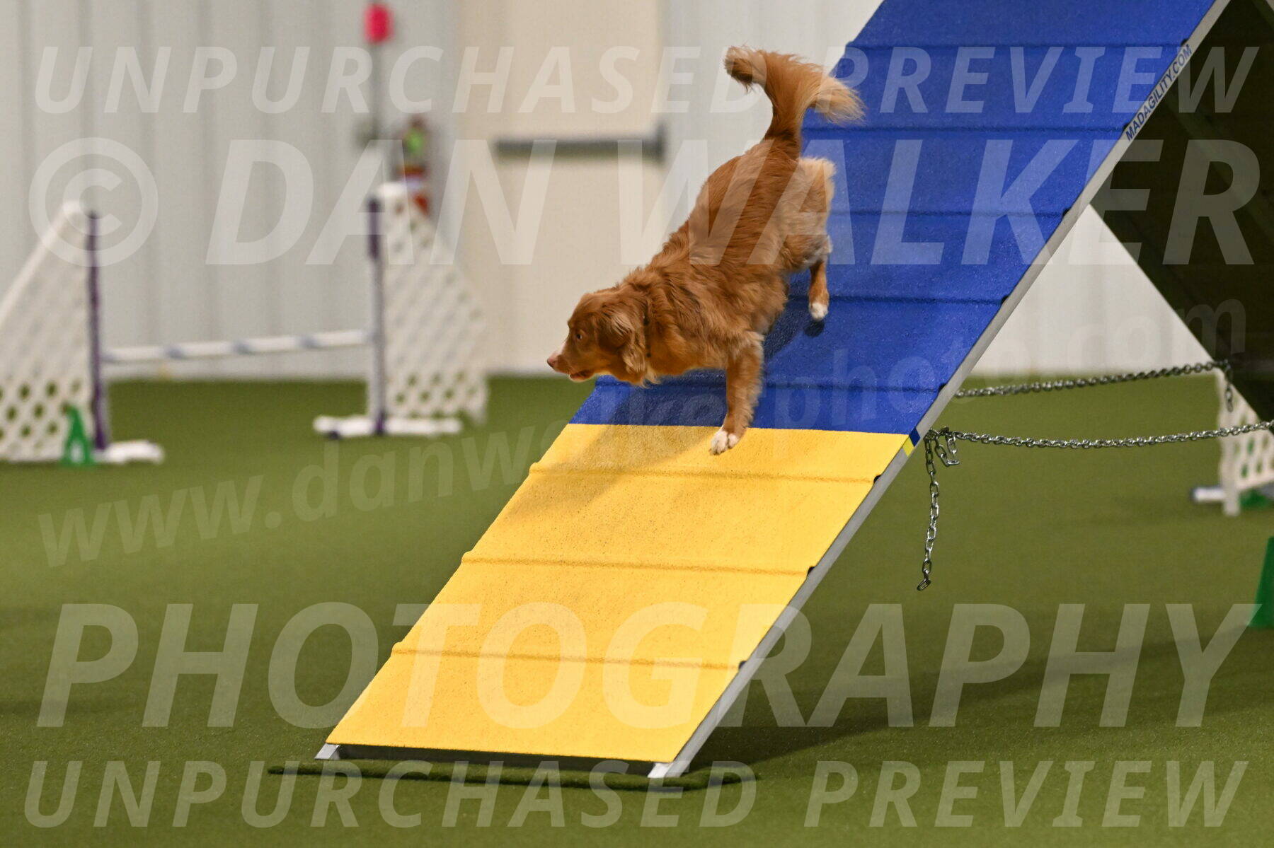 Basil-Cindy-Fink-02136