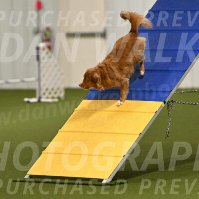 Basil-Cindy-Fink-02136