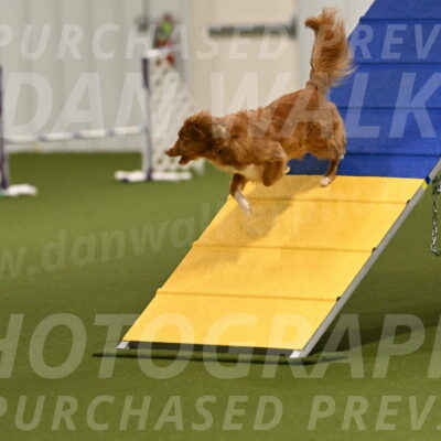 Basil-Cindy-Fink-02137