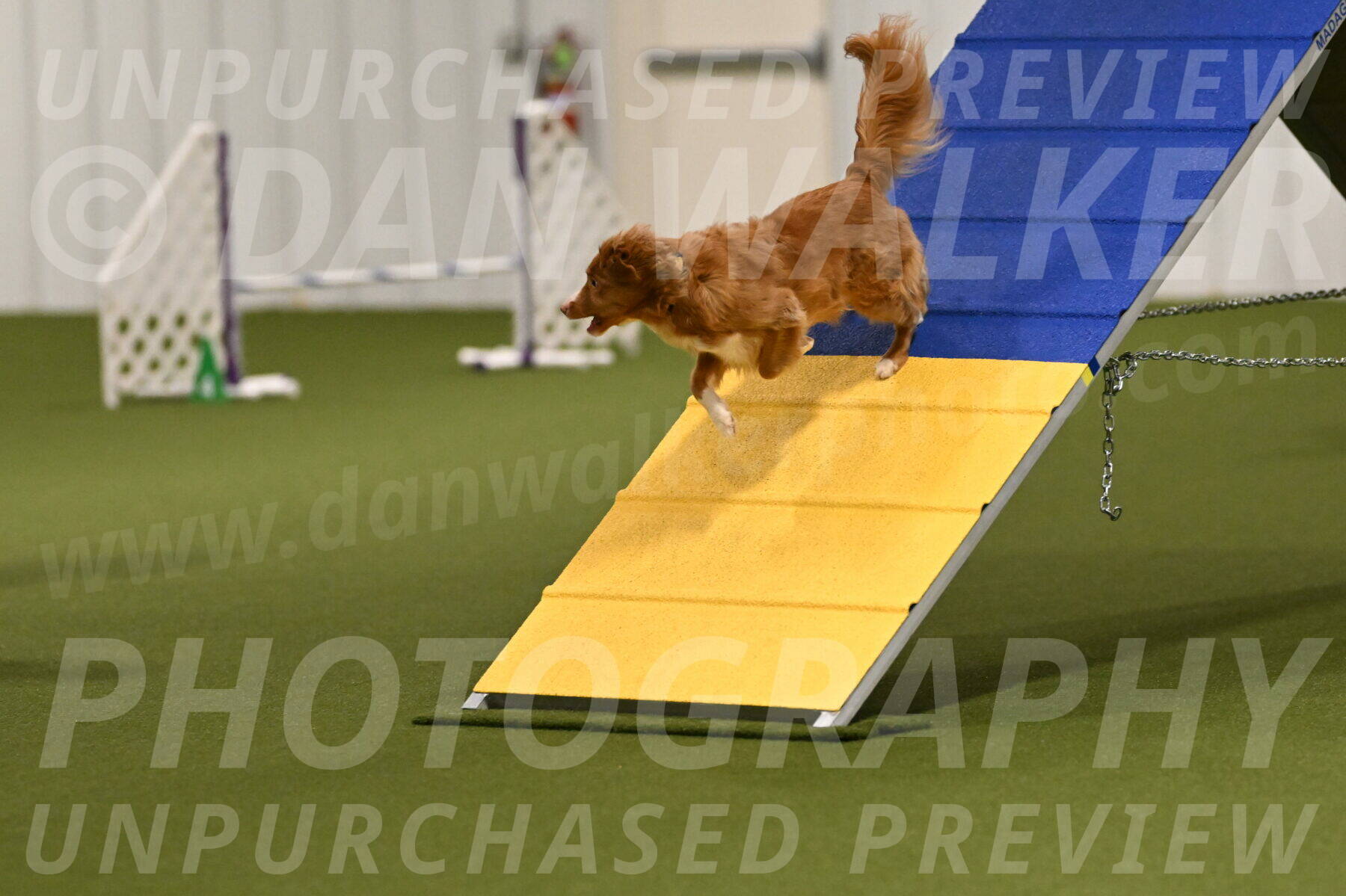 Basil-Cindy-Fink-02137