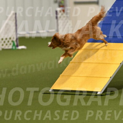 Basil-Cindy-Fink-02138