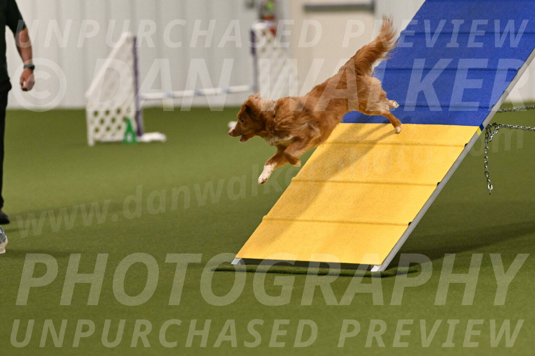 Basil-Cindy-Fink-02138