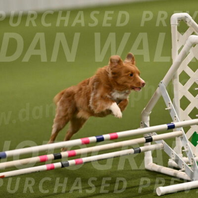 Basil-Cindy-Fink-02139