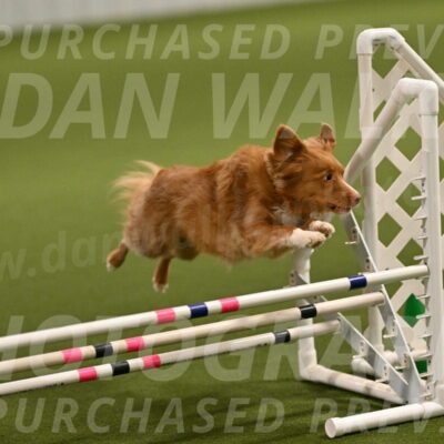 Basil-Cindy-Fink-02140