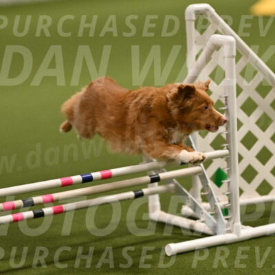 Basil-Cindy-Fink-02141