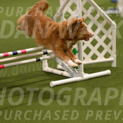 Basil-Cindy-Fink-02142