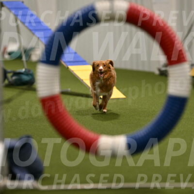 Basil-Cindy-Fink-02143