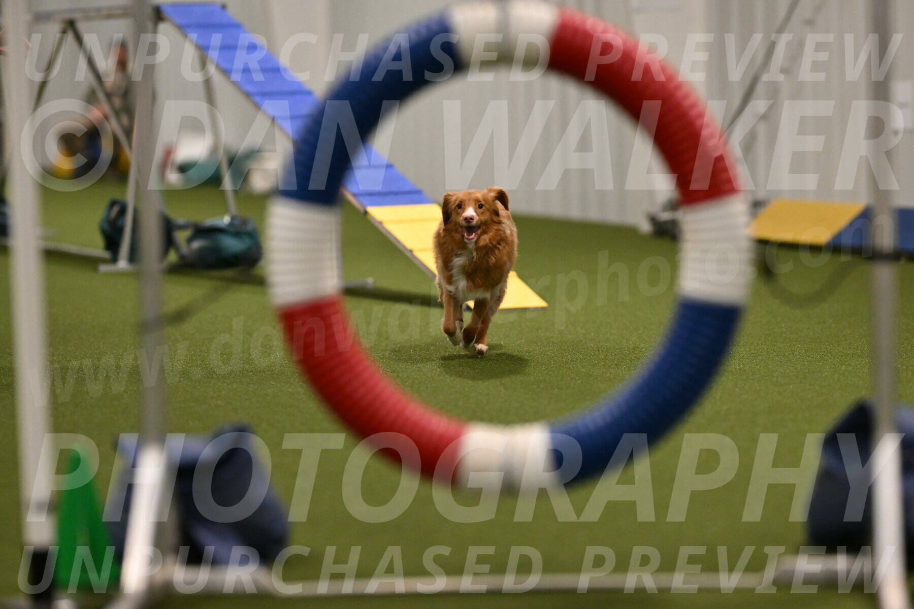 Basil-Cindy-Fink-02143