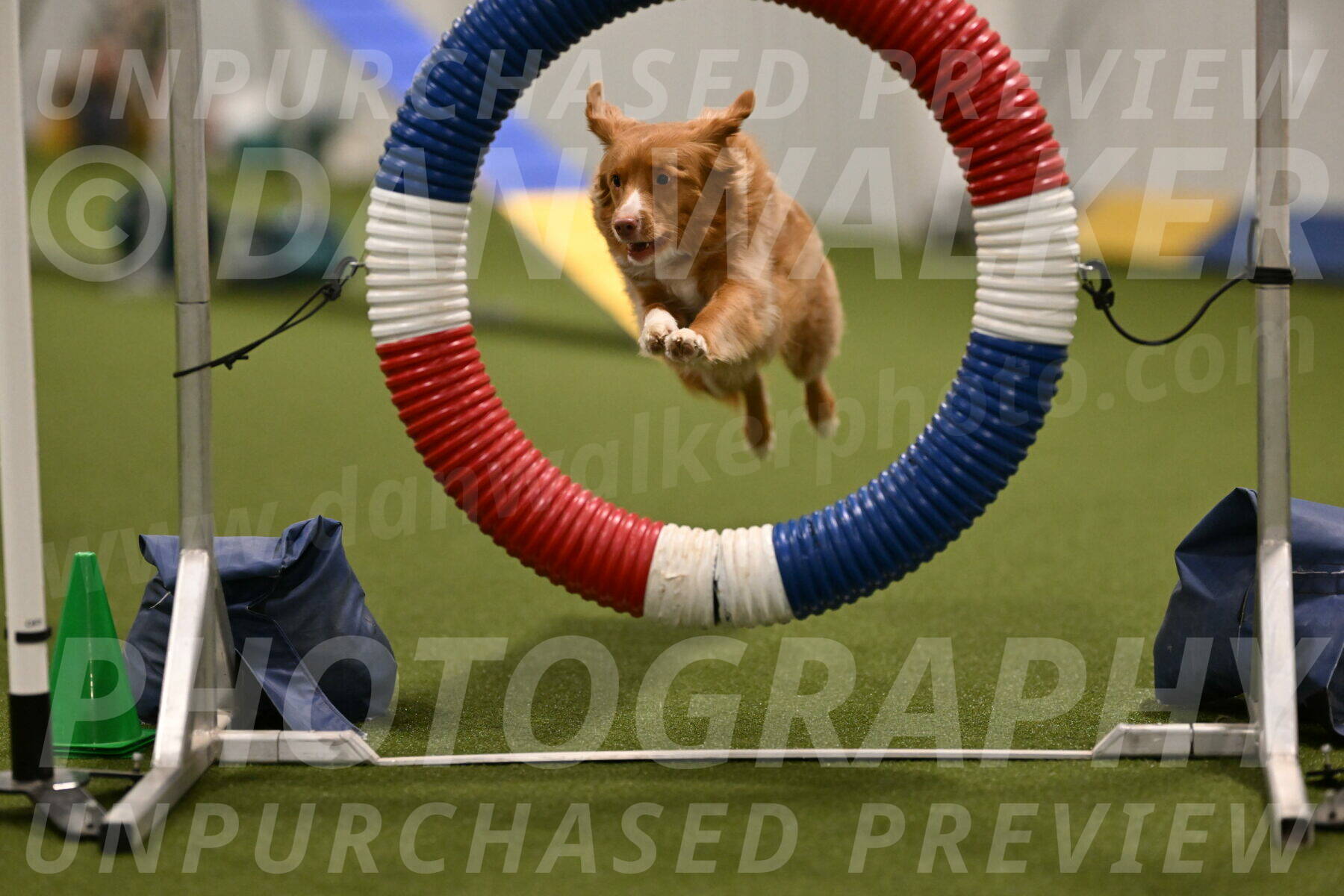 Basil-Cindy-Fink-02144