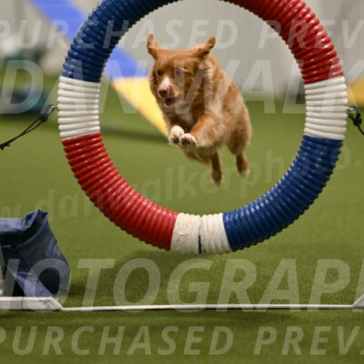 Basil-Cindy-Fink-02144