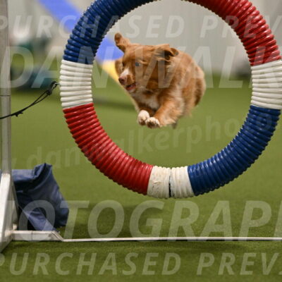 Basil-Cindy-Fink-02145