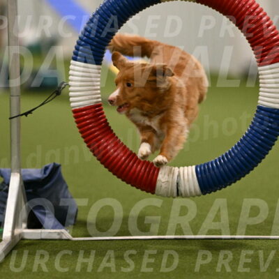 Basil-Cindy-Fink-02146