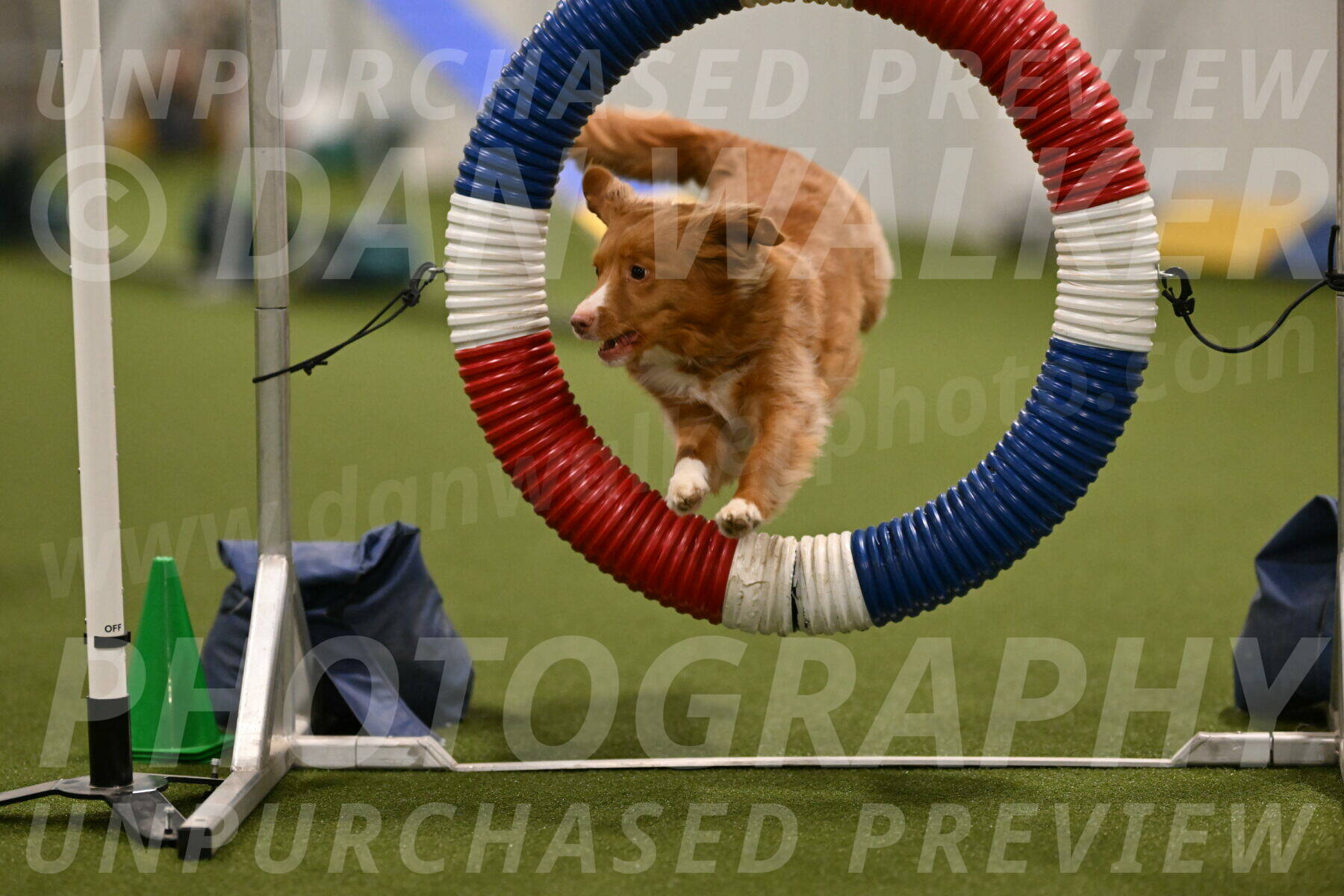 Basil-Cindy-Fink-02146