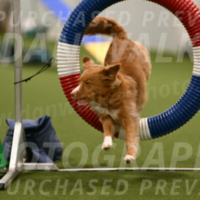 Basil-Cindy-Fink-02147