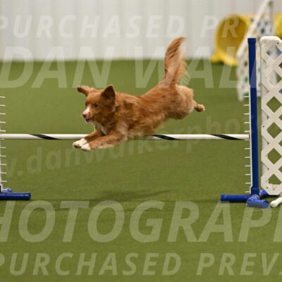 Basil-Cindy-Fink-02148