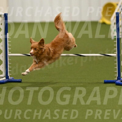 Basil-Cindy-Fink-02149