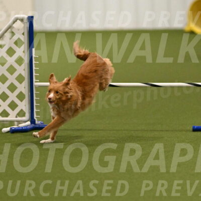 Basil-Cindy-Fink-02150