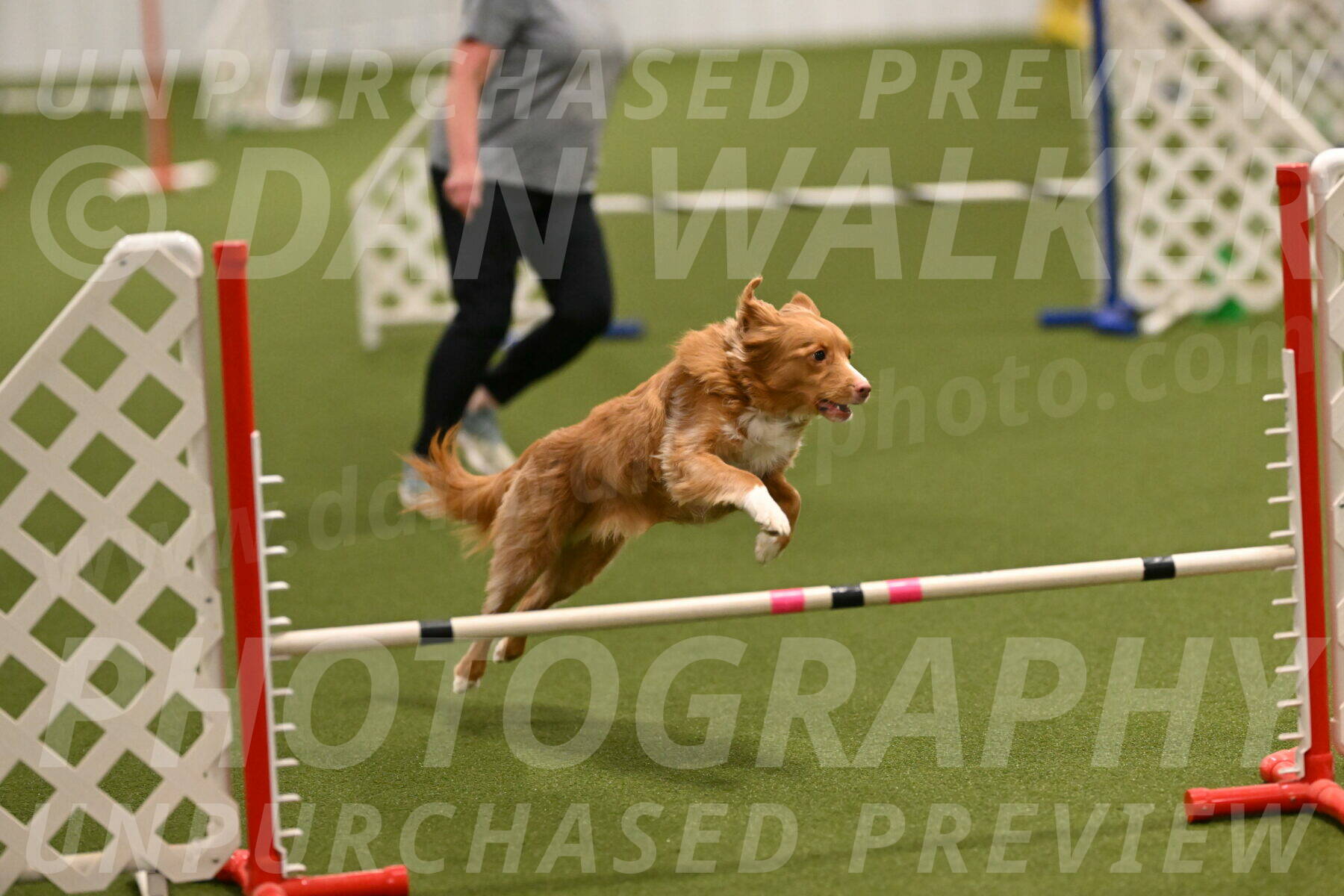 Basil-Cindy-Fink-02151