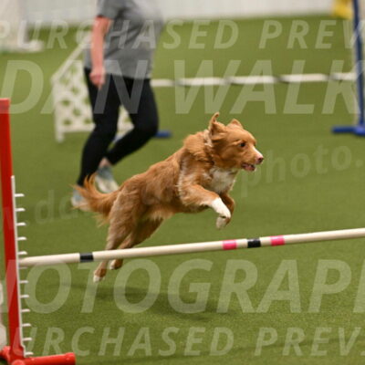 Basil-Cindy-Fink-02151