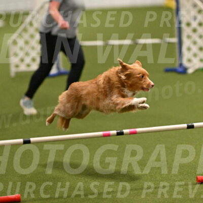 Basil-Cindy-Fink-02152