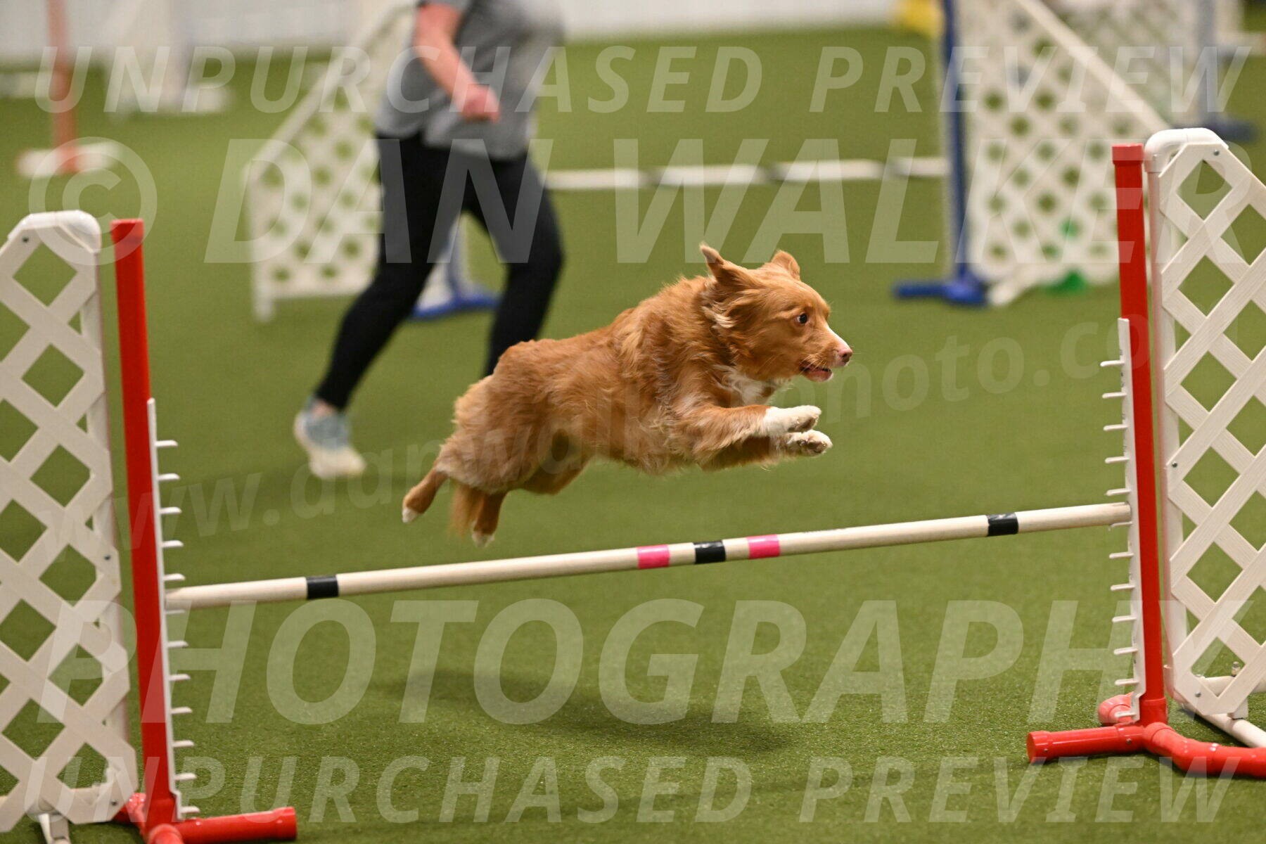 Basil-Cindy-Fink-02152