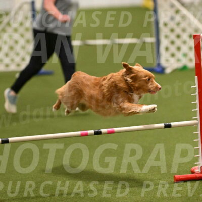 Basil-Cindy-Fink-02153