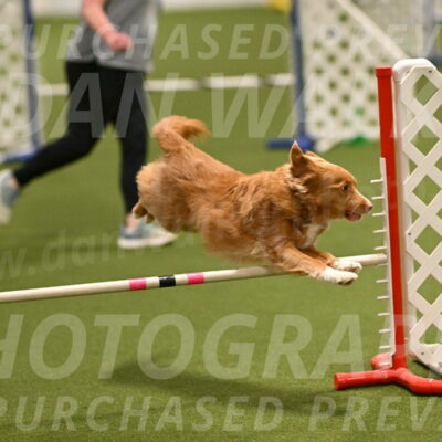 Basil-Cindy-Fink-02154