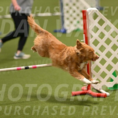 Basil-Cindy-Fink-02155