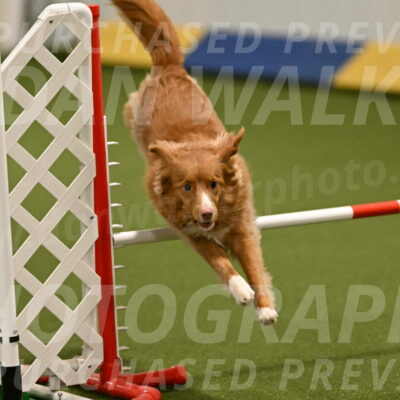 Basil-Cindy-Fink-02159