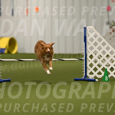 Basil-Cindy-Fink-02160