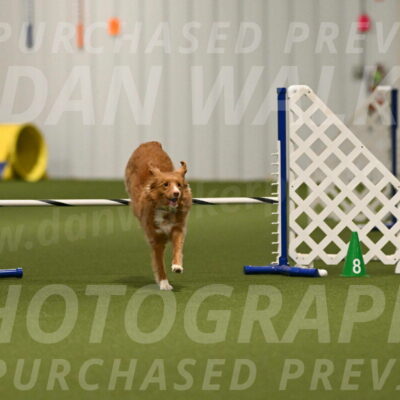 Basil-Cindy-Fink-02161