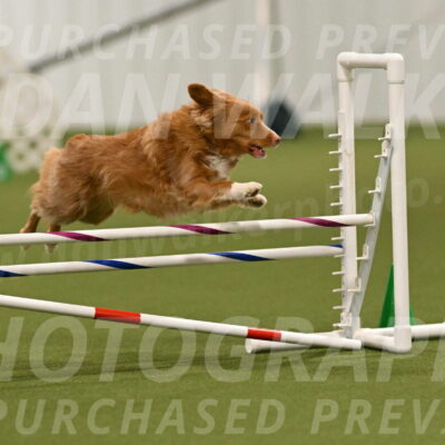 Basil-Cindy-Fink-02163