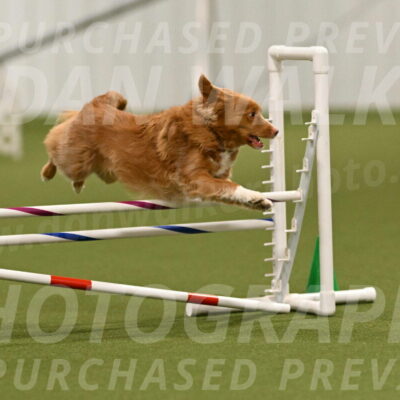 Basil-Cindy-Fink-02164