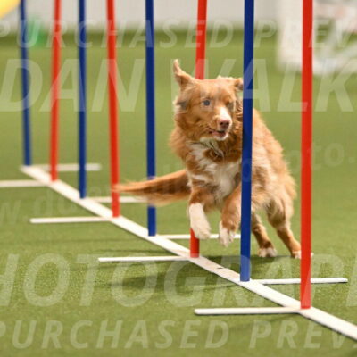 Basil-Cindy-Fink-02172