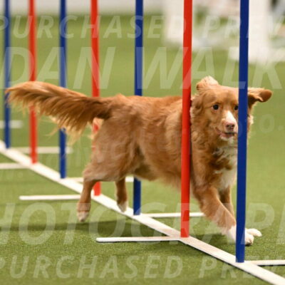 Basil-Cindy-Fink-02177