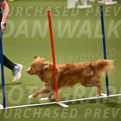 Basil-Cindy-Fink-02178