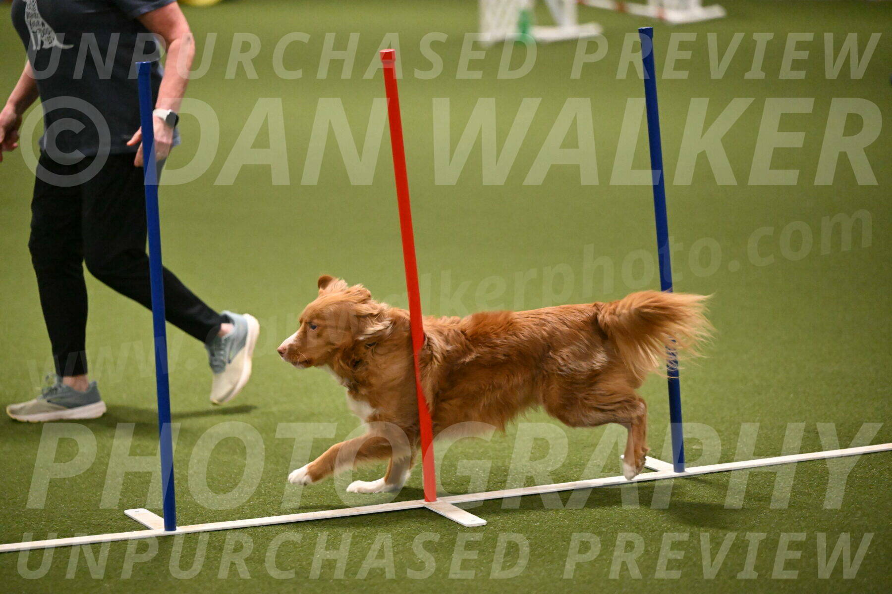 Basil-Cindy-Fink-02178