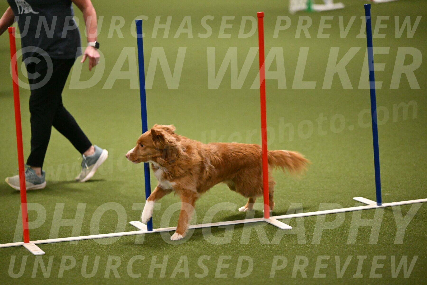 Basil-Cindy-Fink-02179