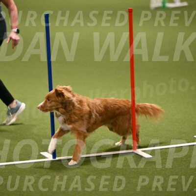 Basil-Cindy-Fink-02179