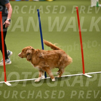 Basil-Cindy-Fink-02180