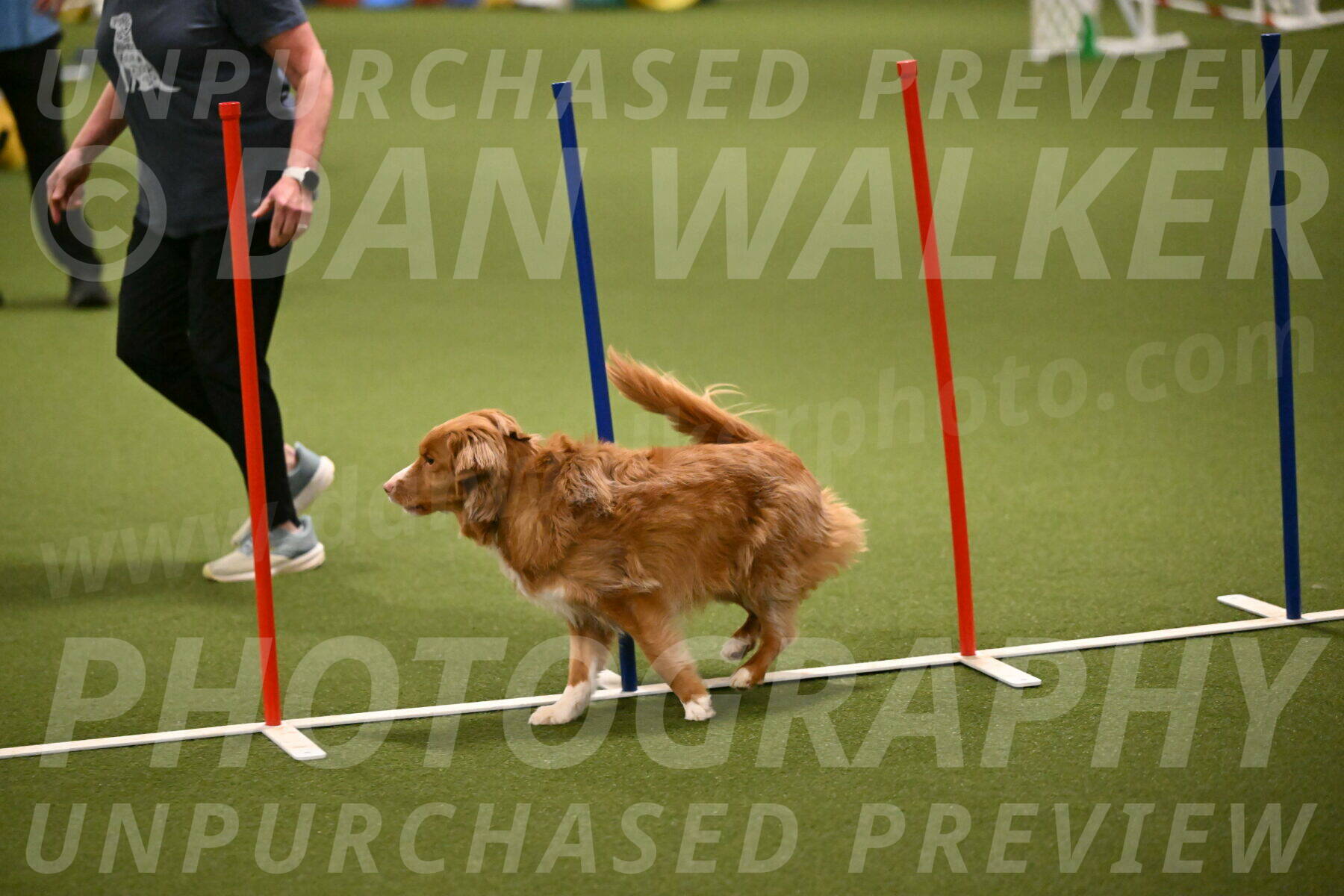 Basil-Cindy-Fink-02180