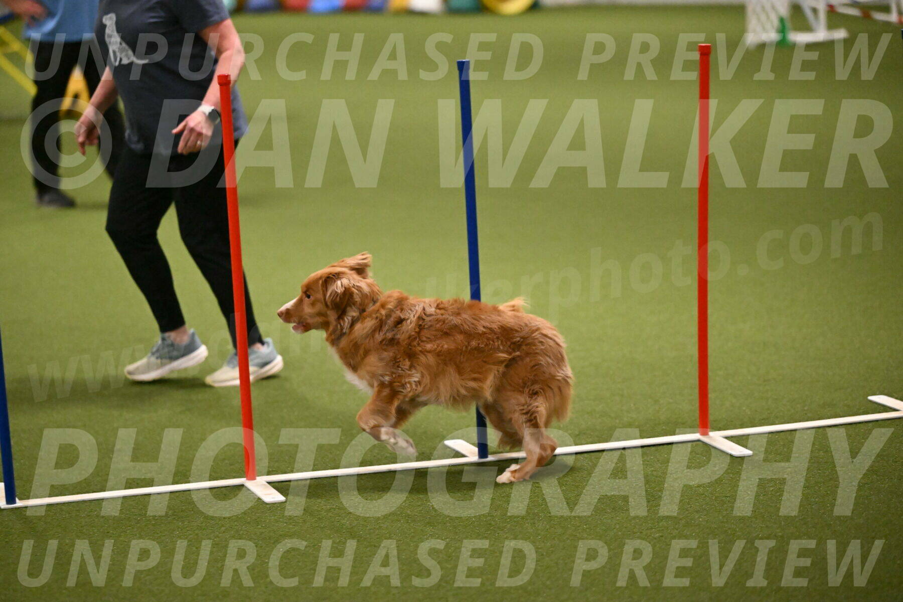 Basil-Cindy-Fink-02181