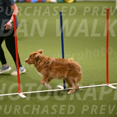 Basil-Cindy-Fink-02181