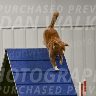 Basil-Cindy-Fink-02182