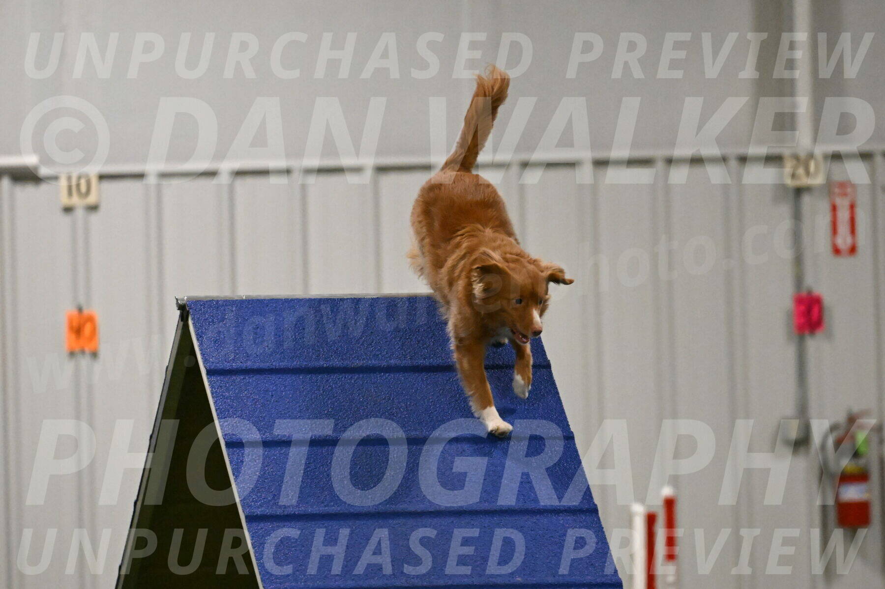 Basil-Cindy-Fink-02182