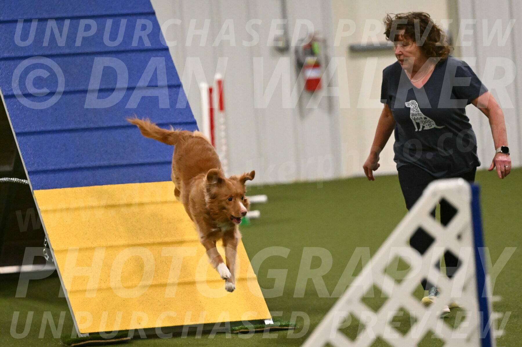 Basil-Cindy-Fink-02183