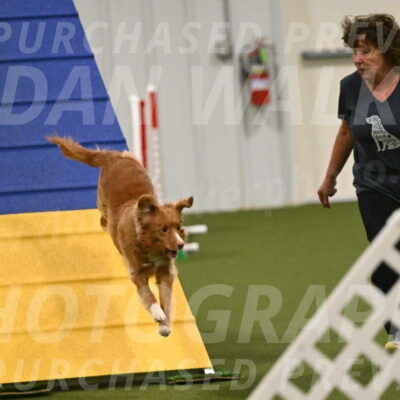 Basil-Cindy-Fink-02183