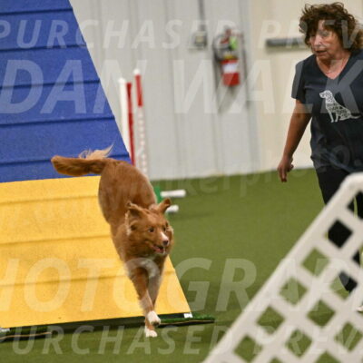 Basil-Cindy-Fink-02184